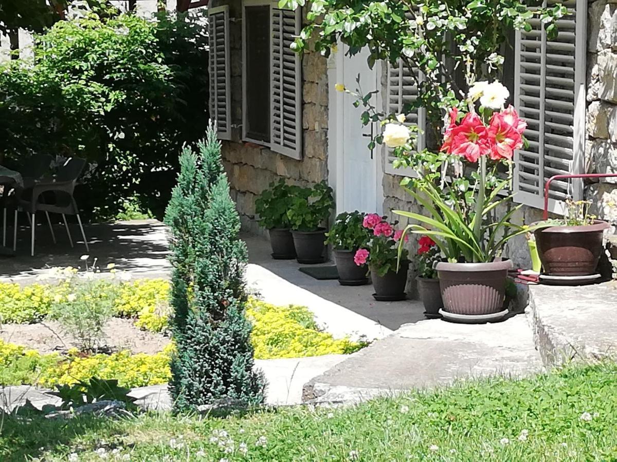 Apartment Jazz Golubac Exterior photo